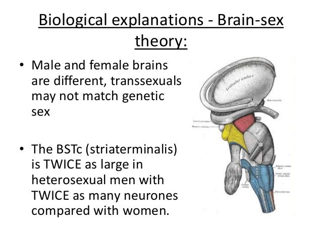 Parenquima acuifero yahoo dating Brain-sex theory of transsexualism